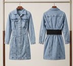Denim Mini Dress